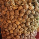 گردو درشت رابرسرمشک