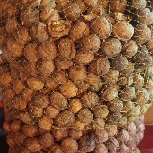 گردو درشت رابرسرمشک