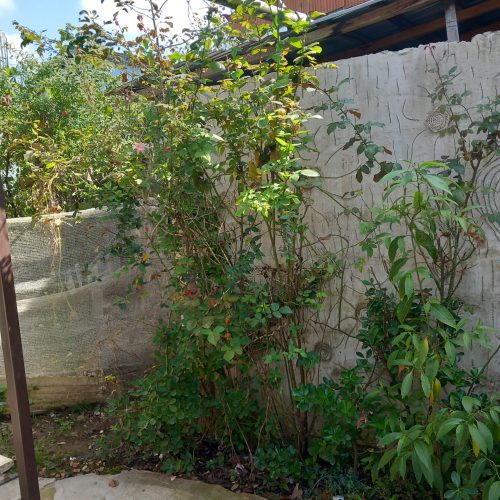 خانه ویلایی
