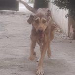 نداشتن جا نگهداری