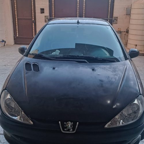 206تیپ2فرانسوی