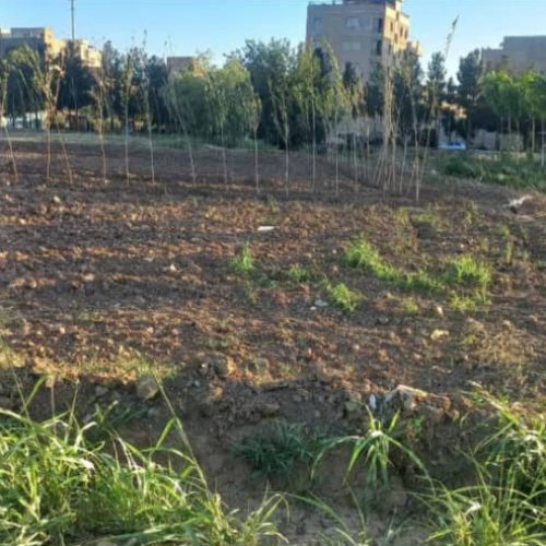 فروش یک قطعه زمین کشاورزی دارای سند تک برگ