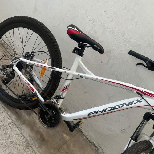 دوچرخه فونیکس