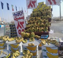 سه چرخه  هندلی