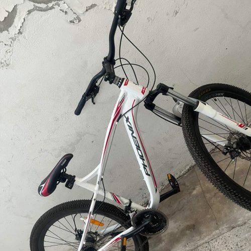 دوچرخه فونیکس