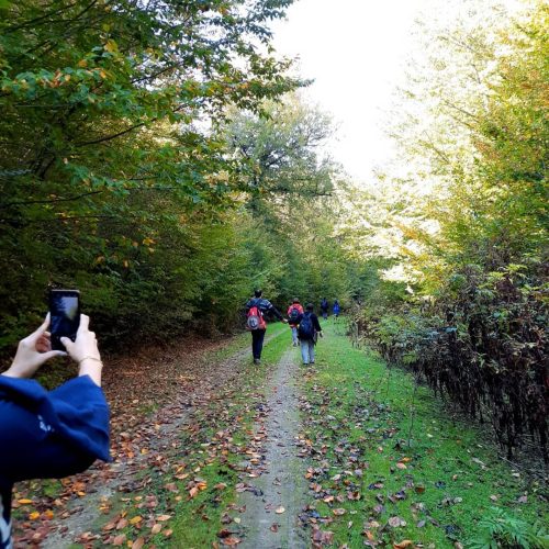 توریک ونیم روزه اقتصادی وآپشنال