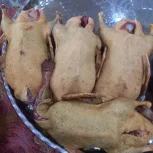 اردک محلی زنده و پرکنده