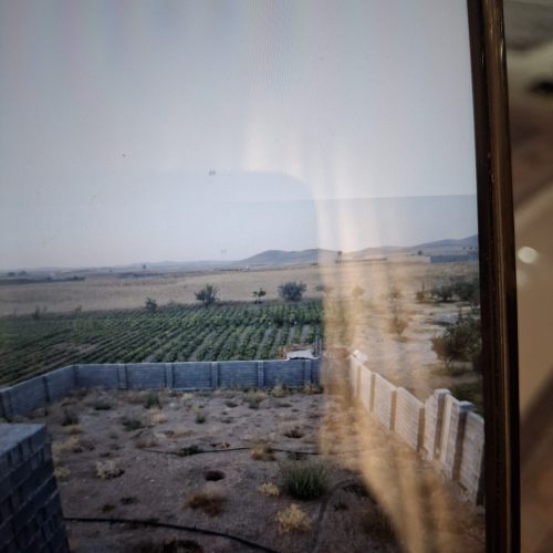 فروش فوری باغ به علت مهاجرت