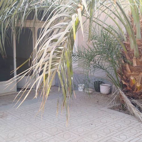 اجاره سوییت همکف