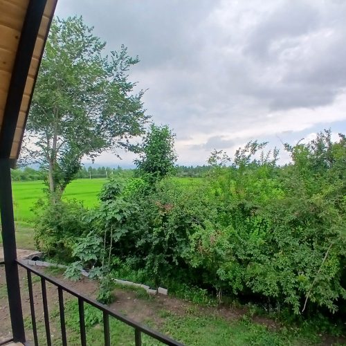 کلبه سوئیسی مونترو  جکوزی دار ماسال