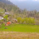 زمین دوهزار متری در شهر خطبه سرا