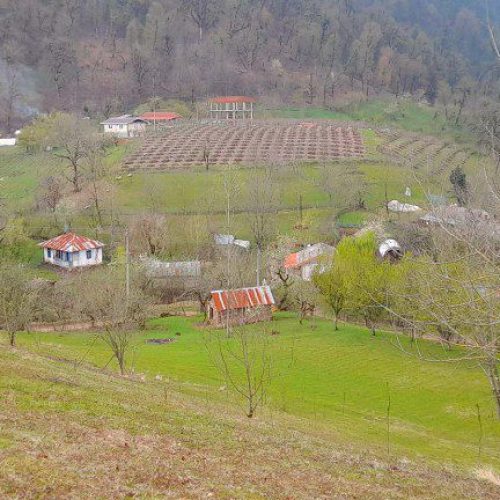 زمین دوهزار متری در شهر خطبه سرا