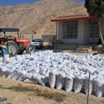 حبوبات لوبیا چیتی