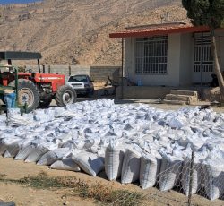 حبوبات لوبیا چیتی