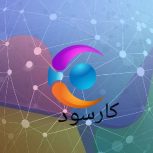 برنامه کسب وکار(کارسود)