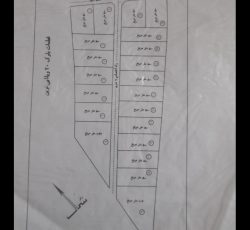 زمین در بیلوردی