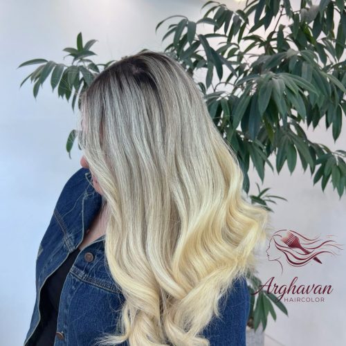 دستیار رنگ و لایت