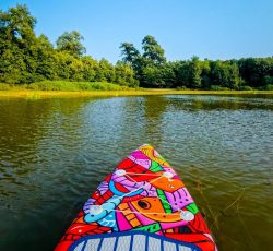 توریک ونیم روزه اقتصادی وآپشنال