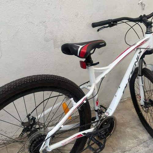 دوچرخه فونیکس