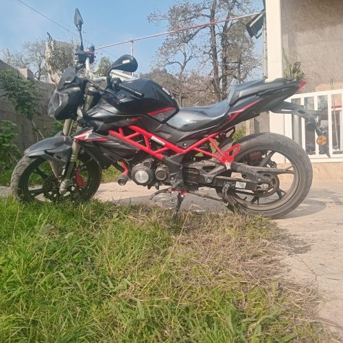 موتور سیکلت بنلی نیو فیس 150