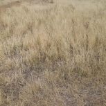 فروش زمین کشاورزی مشگین شهر