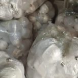 لامپ فوق کم مصرف ال ای دی 60 وات فقط 88 تومن