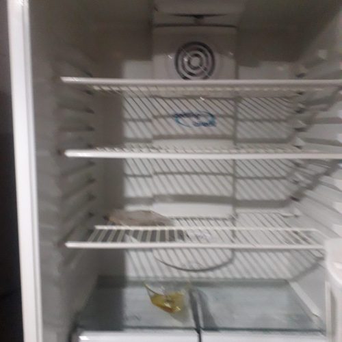 یخچال فریزرامرسان