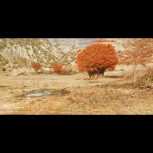 فروش یک قطعه زمین ییلاقی نوشهر کجور