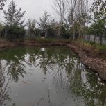 باغ مرکبات 2هزار متری