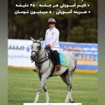 سوارکاری و چوگان