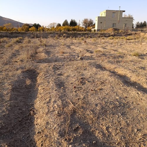 *زمین آماده‌ی باغ ویلا — طبیعت خالص، آب مطمئن، سند بدون دردسر