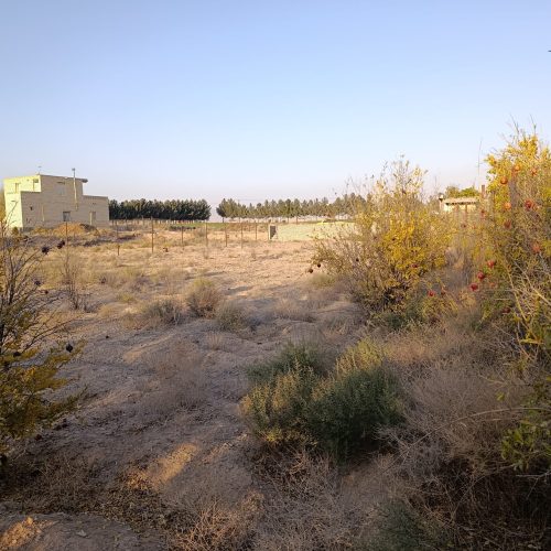 *زمین آماده‌ی باغ ویلا — طبیعت خالص، آب مطمئن، سند بدون دردسر