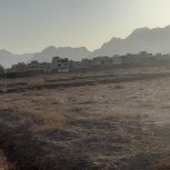 زمین مابین پیرجعفروکیچی تو کشاورزی ها