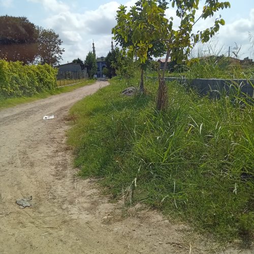 یک قطعه زمین به مساحت1000مترمربع