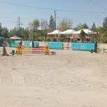 کار در باشگاه سوارکاری