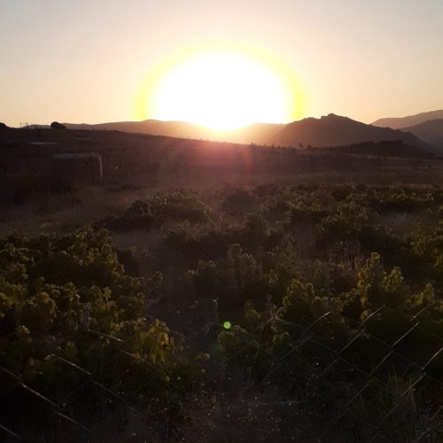 باغ 800 متری در همدان