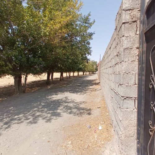 فروش باغ یا معاوضه با ماشین یا خانه .طلا