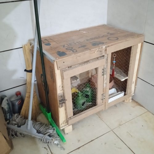 جعبه مخصوص لونه کبوتر