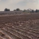 باغ  روستا رشمه