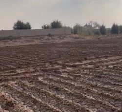 باغ  روستا رشمه