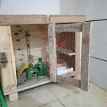 جعبه مخصوص لونه کبوتر