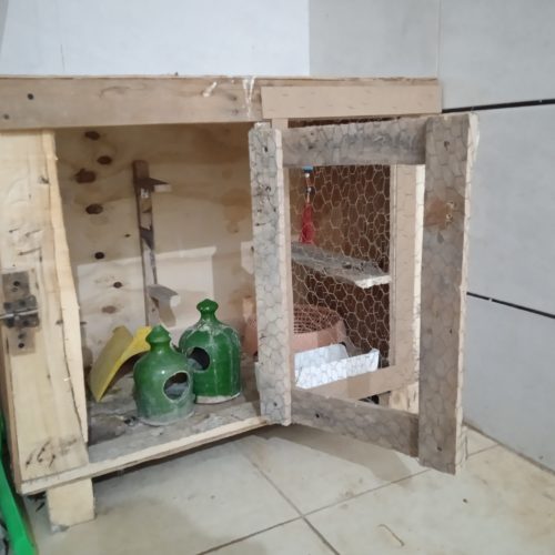 جعبه مخصوص لونه کبوتر