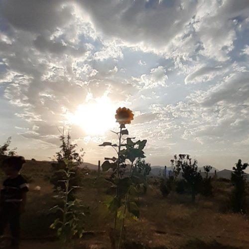 باغ 800 متری در همدان