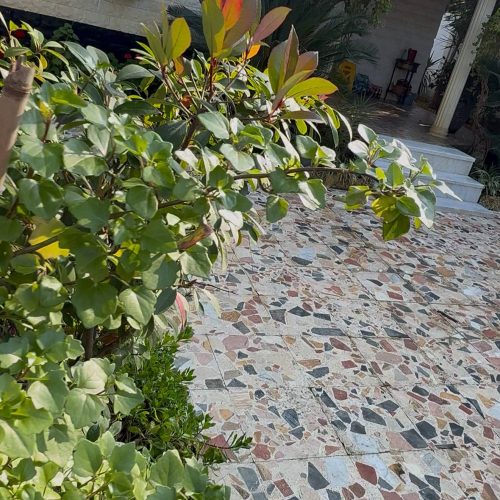 ویلا شهرکی در سیسنگان نوشهر