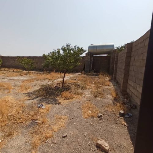 فروش باغ یا معاوضه با ماشین یا خانه .طلا