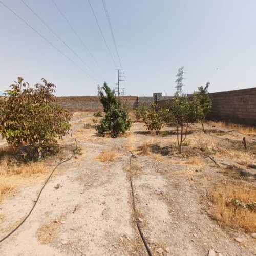 فروش باغ یا معاوضه با ماشین یا خانه .طلا