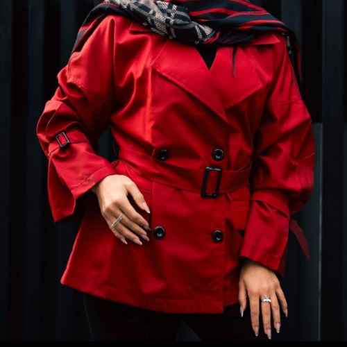 استخدام مدل خانم