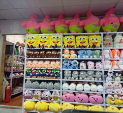 استخدام نیرو خانم