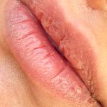 شیدلب انتخابی مطمئن با کیفیت واقعی