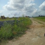 یک قطعه زمین به مساحت1000مترمربع